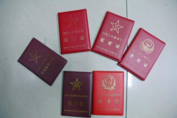 紫金城娱乐